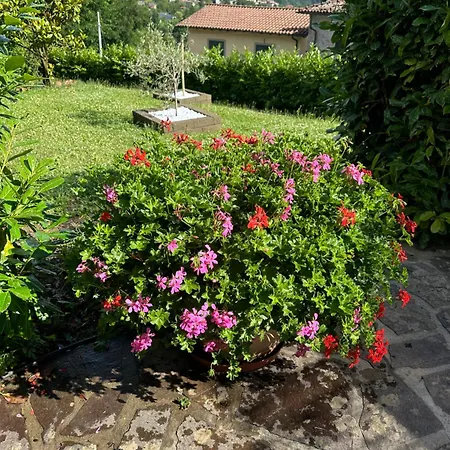 Casa Margherita Celide *